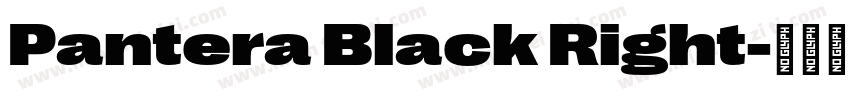 Pantera Black Right字体转换